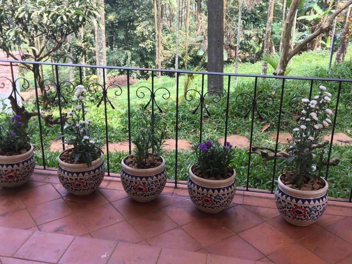 Hotel Tea Terrace Vythiri Wayanad Exterior foto