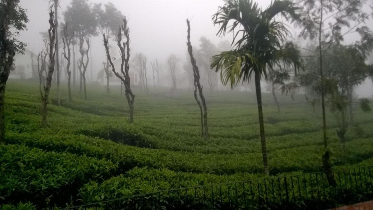 Hotel Tea Terrace Vythiri Wayanad Exterior foto