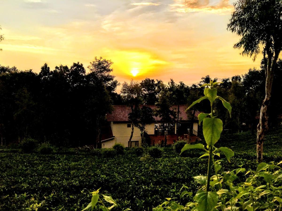 Hotel Tea Terrace Vythiri Wayanad Exterior foto