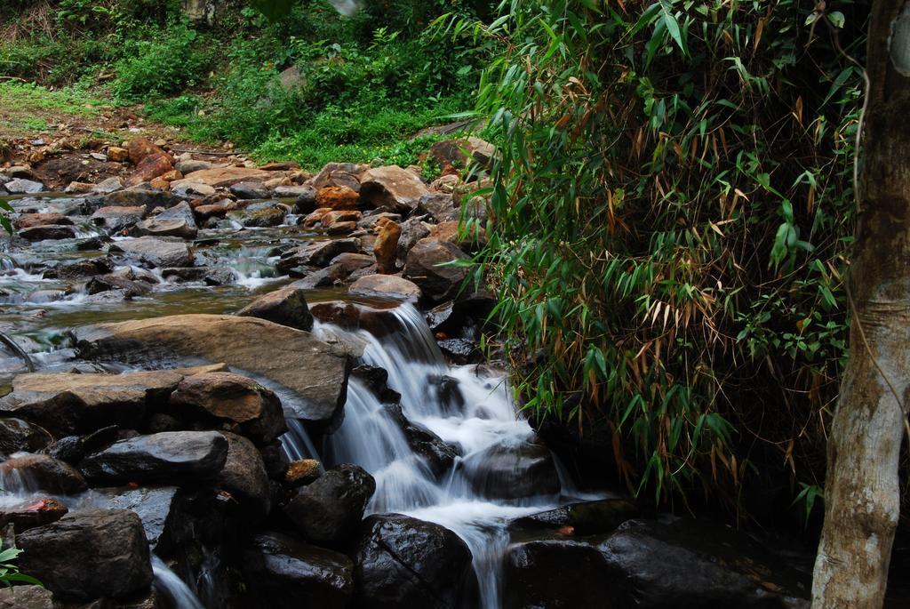 Hotel Tea Terrace Vythiri Wayanad Exterior foto